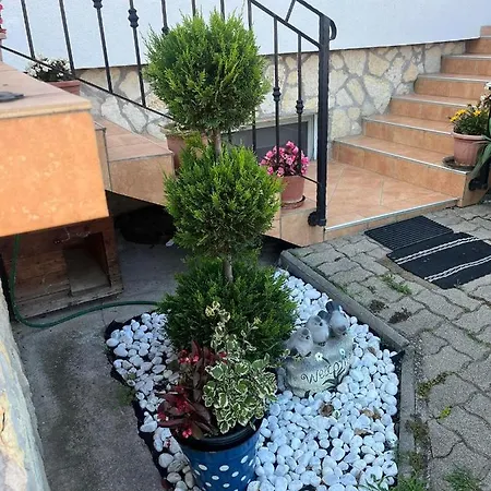 Apartament Rege *