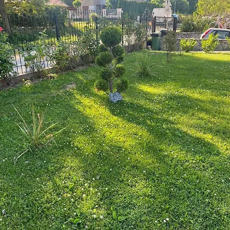 Rege Apartament
