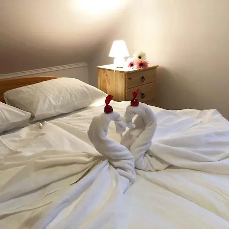 Apartman Rege