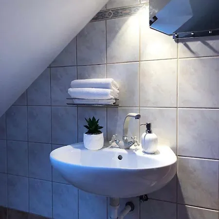 Apartment Rege *