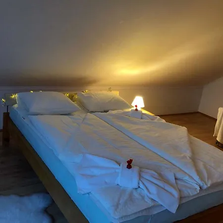Apartament Rege *